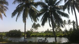 ホイアンのおすすめレストラン5選｜旧市街に飽きたらここ！ビーチ・田園エリアなどの名店を徹底紹介