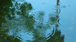 【ダナン雨季・雨の日の過ごし方】観光に頼らず楽しむ”しっとり時間”ガイド（ホイアンも紹介）